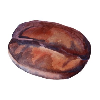 Beyaz arka planda izole edilmiş suluboya kahverengi kahve çekirdeği. Sıcak içecek için Aroma kafein bileşeni. Menü, etiket, çakmak, mutfak, kafe, kafeterya için el yapımı klip tasarımı ögesi
