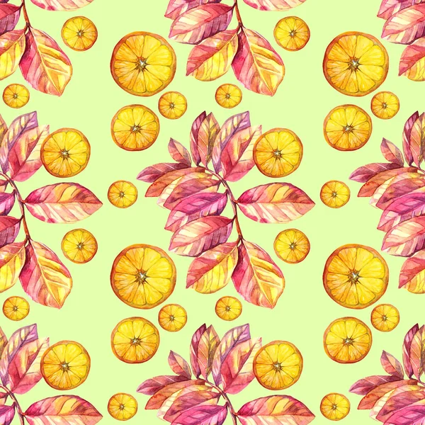 Seamless pattern watercolor citrus fruit orange circle slice and pink branch with leaves on green background. Hand drawn food object for menu, sticker, wrapping, card, wallpaper, sketchbook, note book — Fotografia de Stock