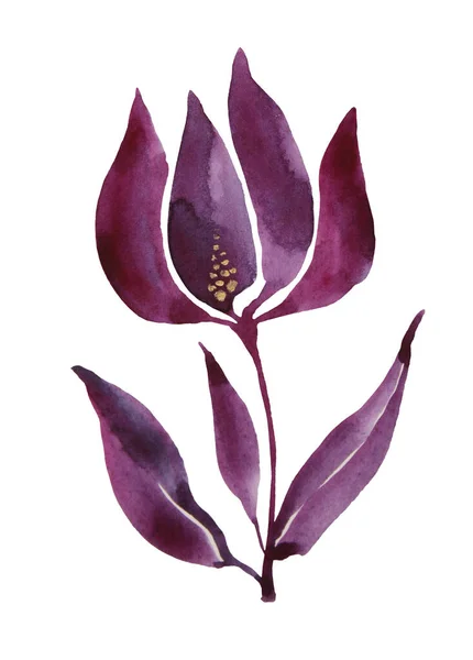 Tulipe fleur abstraite violette dessinée à la main à l'aquarelle isolée sur fond blanc. Coup de pinceau gratuit. Clip art pour salle de méditation, site, carte, papier peint, autocollant, emballage, yoga, textile — Photo