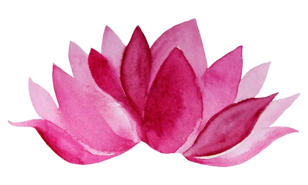 Beyaz arka planda izole edilmiş suluboya pembe, soyut çiçek nilüferleri. Serbest fırça darbesi. Meditasyon odası, site, kart, duvar kağıdı, çıkartma, yoga, tekstil