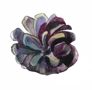 Elle çizilmiş suluboya kahverengi kozalaklı orman beyaz arka planda izole edilmiş. Kart, duvar kağıdı ve çıkartma için yaratıcı klip sanatı