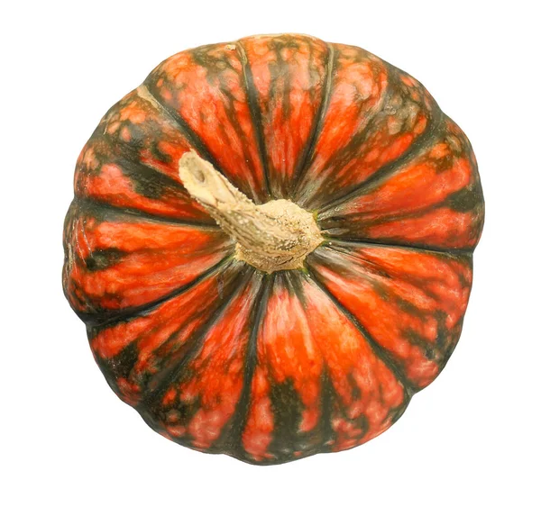 Orange and green pumpkin isolated on white background. Art autumn photo object Royalty Free Stock Images