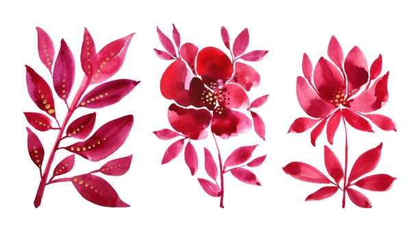Nastavit akvarel ručně kreslené kytice červená abstraktní květinová růže s listy izolované na bílém pozadí. Art kreativní příroda objekt pro samolepku, karty, tapety, textil, obaly — Stock fotografie