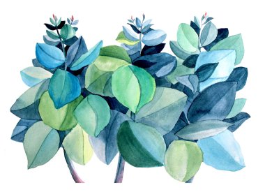 Mavi ve yeşil suluboya el boyası okaliptüs yapraklarını beyaz arka planda izole ediyor. Klip sanatı