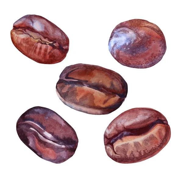 Set watercolor brown coffee bean isolated on white background. Aroma caffeine ingredient for hot beverage. Hand-drawn clip art design element for menu, sticker, cezve, kitchen, cafe, cafeteria — Stock Photo, Image