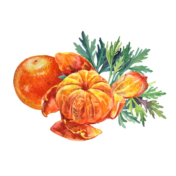 Aquarel samenstelling citrusvruchten sinaasappel schil de mandarijn met groene bladeren geïsoleerd op witte achtergrond. Handgetekend eten voor winter of zomer, kerstclip voor menu, sticker — Stockfoto