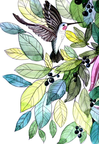 Kolorowy rajski ptak na gałęzi ręcznie rysowane ilustracji — Zdjęcie stockowe