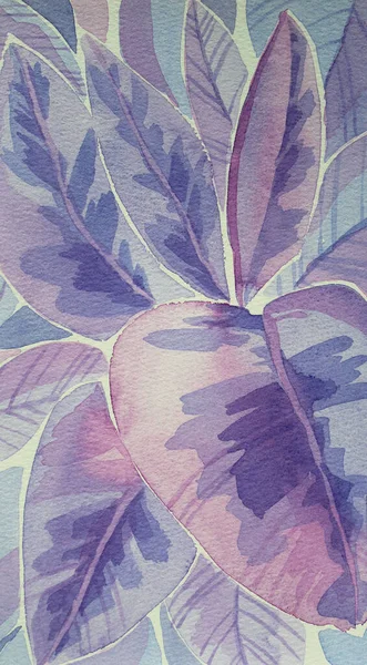 Watercolor blue and pink leaves ficus. Art creative hand drawn background for wallpaper, postcard, notebook, wrapping, poster, celebration, wedding Stock Photo