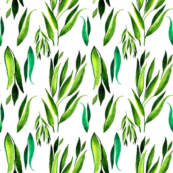 Patrón sin costura acuarela dibujado a mano hierba abstracta verde y rama con hojas en blanco. Arte creativo fondo de la naturaleza para la tarjeta, envoltura, textil, papel pintado, floristería, celebración — Foto de Stock