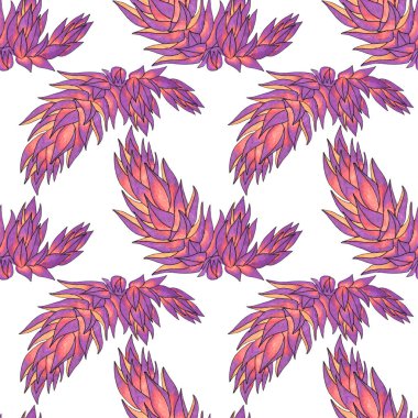 Kusursuz desenli pembe ve mor sulu haworthia ev bitkisi beyaz üzerine. Kart, etiket, duvar kağıdı, tekstil ya da ambalaj için sanat yaratıcılığı arka planı