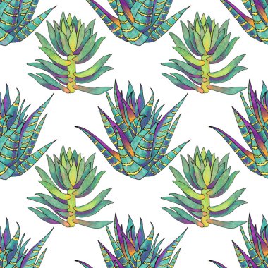Kusursuz desenli yeşil sulu pamuk ve beyaz arka planda opuntia ev bitkisi. Kart, etiket, duvar kağıdı, tekstil, ambalaj için sanat eseri çizilmiş nesne