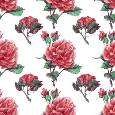 Kusursuz desen, yapraklı pembe gül tomurcukları çiziyor. Kart, duvar kağıdı, tekstil ve ambalaj için sanat yaratıcılığı arka planı