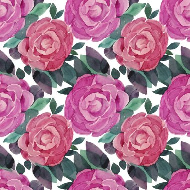 Kusursuz desenli sulu boya. Yapraklı pembe ve kırmızı çiçek. Şakayık kamelyalı gül fırçası darbesi.