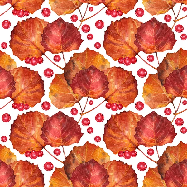 Осінній безшовний візерунок аквареллю мальовані червоні ягоди смородини і апельсинове листя на білому. Природа садової рослини листя. Творчий фон на Хеллоуїн, шпалери, обгортання, ескіз — стокове фото