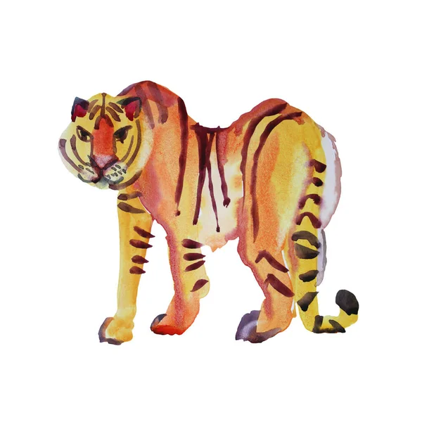 Aquarelle dessinée à la main tigre abstrait chat sauvage isolé sur fond blanc. Symbole chinois nouvel an. Animal orange à rayures noires. Clipart créatif pour Noël, célébration, invitation, emballage — Photo