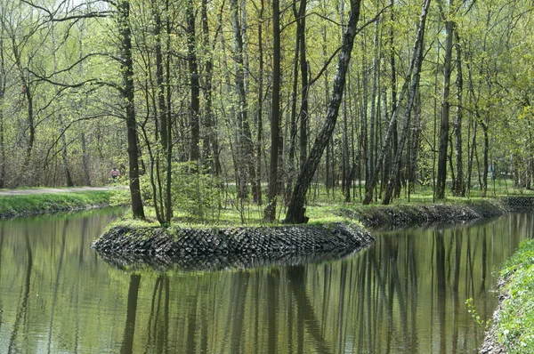 Landscape with a pond — Stock Photo, Image