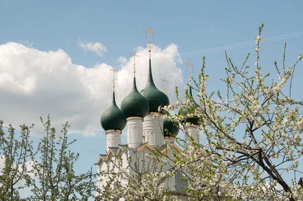 Rostów wielki na wiosnę — Zdjęcie stockowe