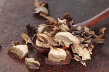 Boletus mantarı kuru mantar