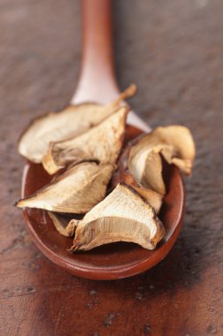 Boletus mantarı kuru mantar