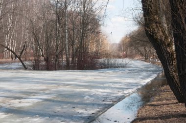 Moskova 'daki Sokolniki parkında bir gölet manzarası