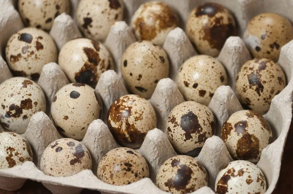 Quail Eggs Cardboard Stand Close Shot — Stock Photo, Image