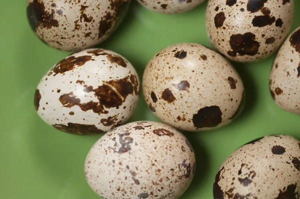Quail Eggs Green Ceramic Plate Close Shot — Stock Photo, Image