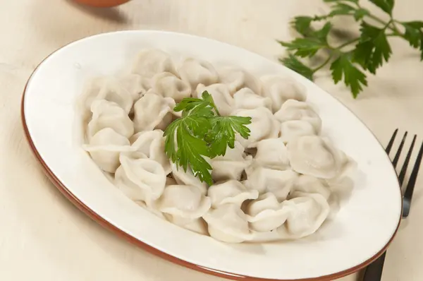 Kött dumplings (pelmeni) — Stockfoto