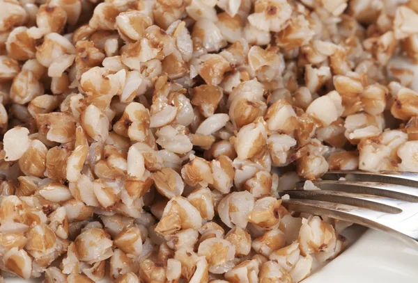 Buckwheat kasha on a white plate — Stock Photo, Image