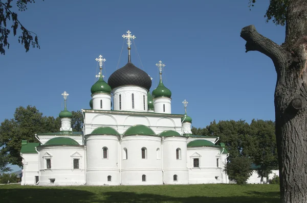 St. Theodor's monastery, The Cathedral of the great Martyr. Theo — Stock Photo, Image