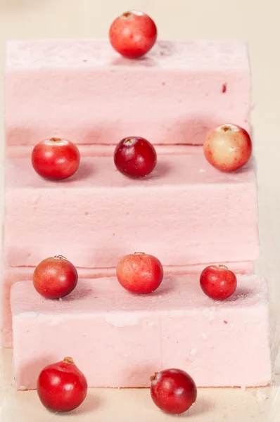 Pastille met cranberry — Stockfoto