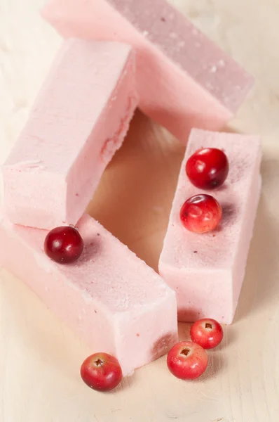 Pastille met cranberry — Stockfoto