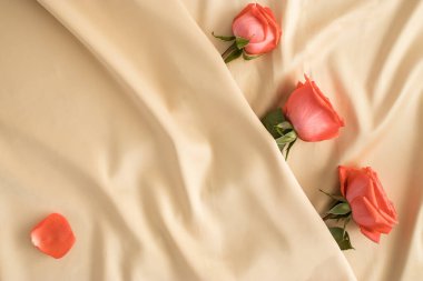 Bej rengi açık kahverengi ipek çarşafta kırmızı gülle yapılmış yaratıcı bir arka plan. Minimum bileşim. Aşk geçmişi. Düz yatıyordu.