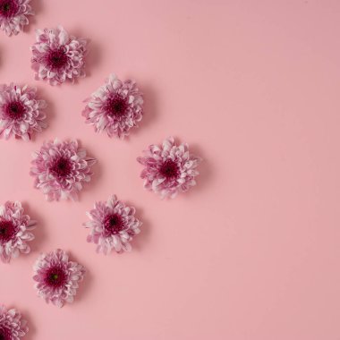 Çiçeklerle yapılmış pembe desenli. Aşk ya da kadın günü konsepti. Minimum düzlük.