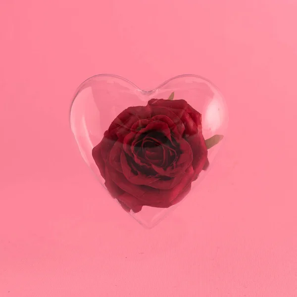 Miłość Twórcza Koncepcja Czerwonym Kwiatem Przezroczystym Sercu Konstrukcja Tła Walentynki — Zdjęcie stockowe