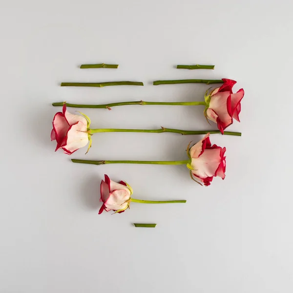장미와 잔가지로 만들어 발렌티누스 Valentines 여성의 일상적 디자인 소수의 — 스톡 사진
