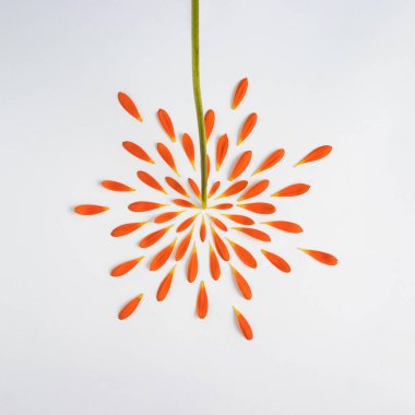 Yapraktan yapılmış yaratıcı çiçek kompozisyonu. Asgari doğa konsepti. Düz yatıyordu.