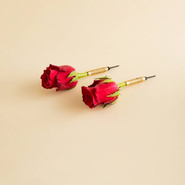 Yaratıcı Kadınlar Günü fikri hediye kutusundan fırlayan kırmızı bir gül. Asgari sevgi arkaplanı.