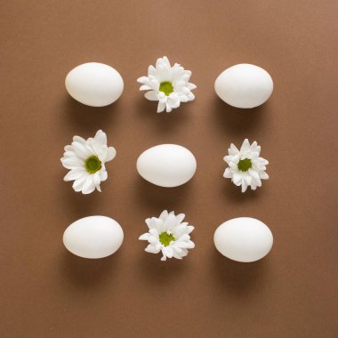 Açık kahverengi arka planda beyaz yumurta ve çiçek kompozisyonu. Asgari Paskalya ya da yemek düzeni. Tatil konsepti. Düz yatıyordu