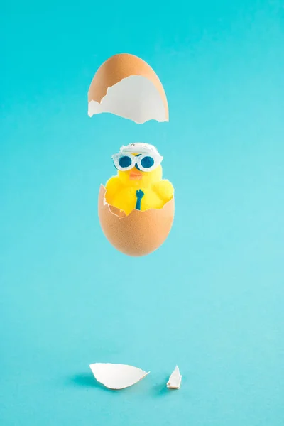 Composizione Creativa Pasqua Con Pollo Partito Con Cappello Occhiali Uovo Foto Stock Royalty Free