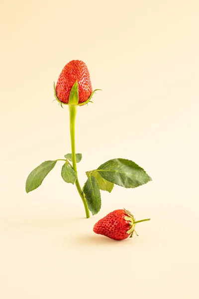 Creative composition with strawberry and green leaves of rose flower on a pastel beige background. Minimal food or love concept. Flat lay.