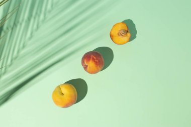 Pastel yeşil arka planda taze şeftali meyveleri ve palmiye yaprağı gölgesi olan yaratıcı bir yaz kompozisyonu. Minimum gıda konsepti. Güneşli gün gölgesi.