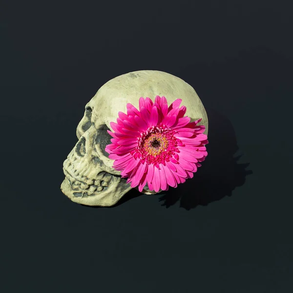 Cráneo Creativo Con Flor Rosa Sobre Fondo Negro Concepto Moda — Foto de Stock