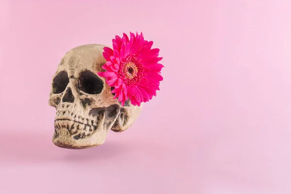 Cráneo Creativo Con Flor Rosa Sobre Fondo Rosa Concepto Moda — Foto de Stock