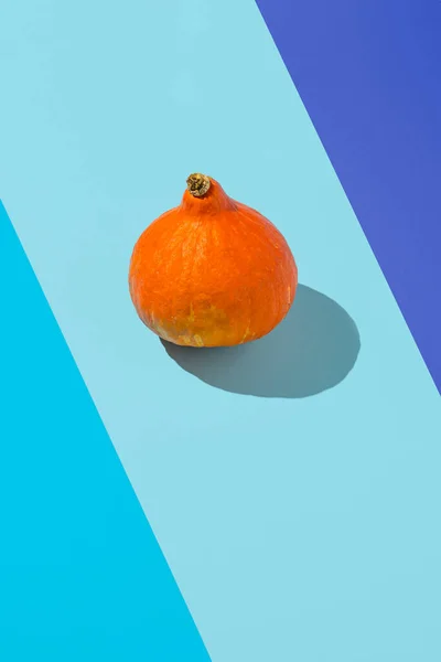Layout Creativo Autunno Zucca Arancione Sfondo Blu Concetto Creativo Del — Foto Stock