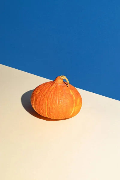 Creative layout of autumn orange pumpkin on blue background. Creative thanksgiving concept.