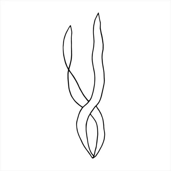 Vecteur Algue Plante Eau Silhouette Algues Noires Illustration Doodle Contour — Image vectorielle