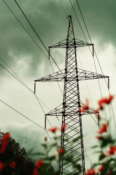 Elektriska Kraftledningar Högspänningspost Industriellt Landskap Och Blommor Förgrunden Elektricitet Pylon — Stockfoto