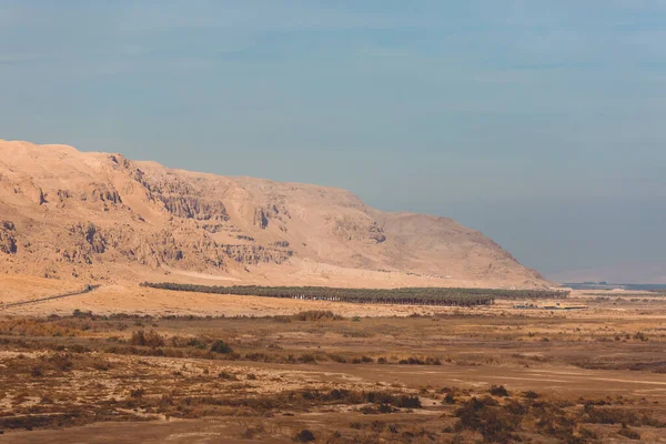 Desert Road Dead Sea Israel Desert Landscape Palms Oasis — Stock Photo, Image