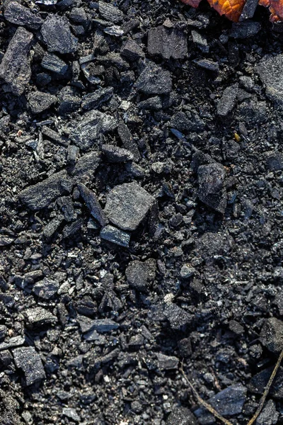 Pedaços de carvão dispersos — Fotografia de Stock