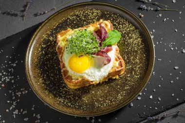 Koyu arkaplanda yeşil lahanalı kızarmış yumurtalı, jambonlu ve peynirli lezzetli sandviç.